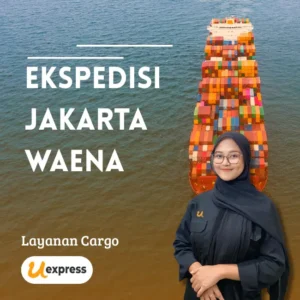 ekspedisi jakarta waena