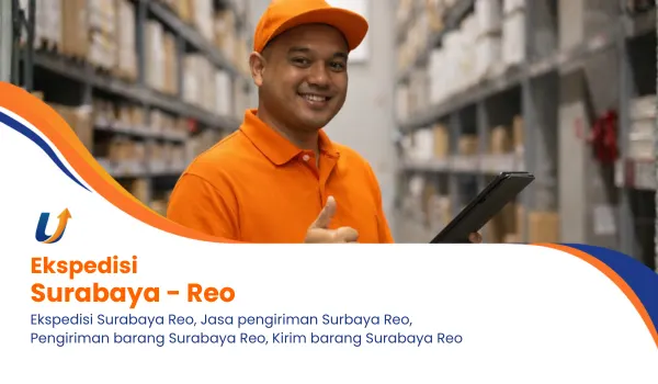 ekspedisi surabaya reo